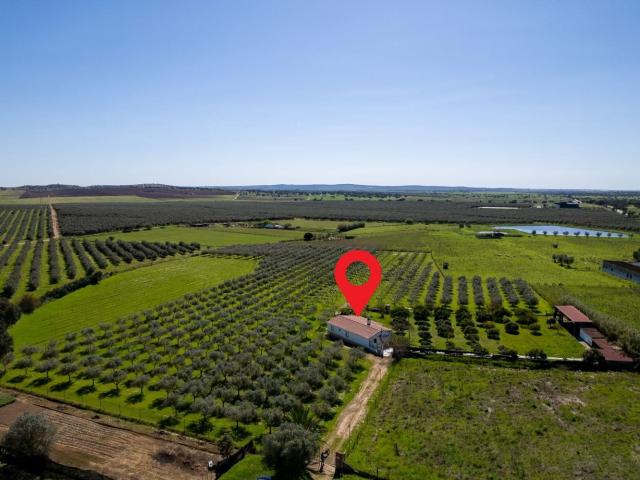 Quinta venda em Beja