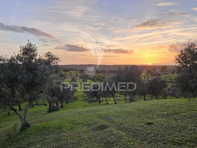 Quinta venda em Mora, Évora