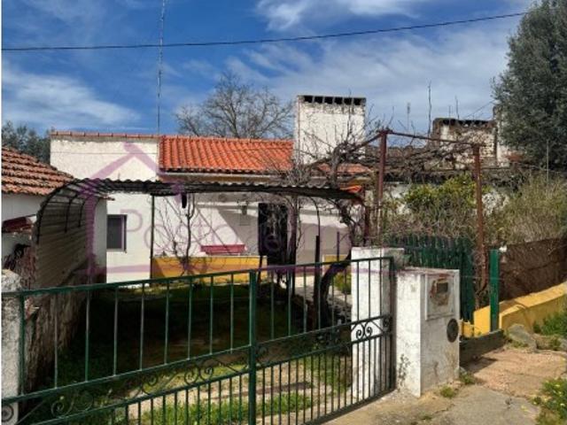 Quinta venda em Estremoz, Évora