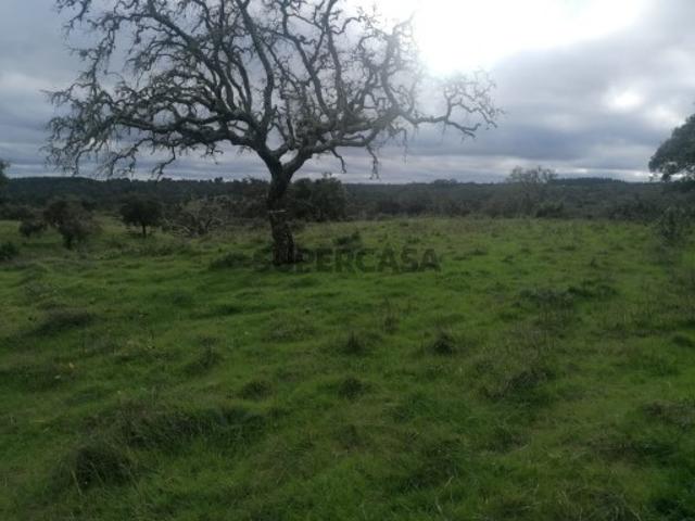 Terreno venda em Mosqueirões, Grândola
