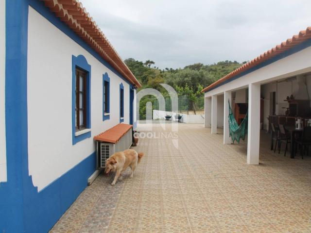 Quinta venda em Bairro Novo dos Pinheiros, Vale De Santiago