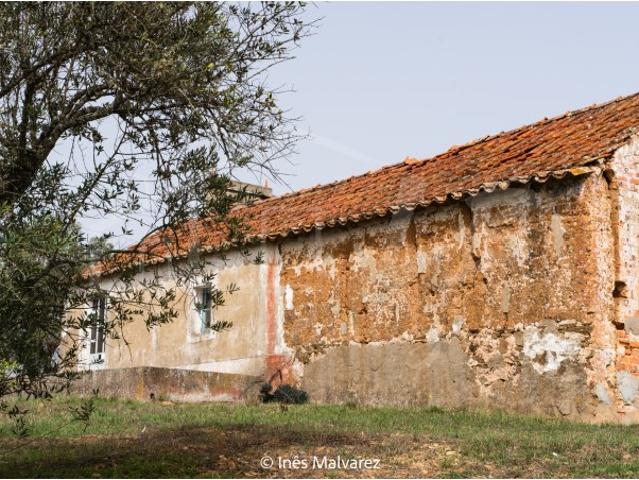 Quinta venda em Grândola, Setúbal