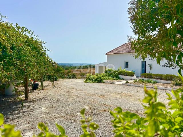 Quinta venda em Santiago Do Cacém, Setúbal