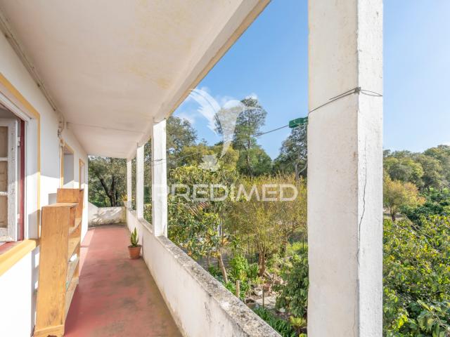 Quinta venda em Santiago Do Cacém, Setúbal