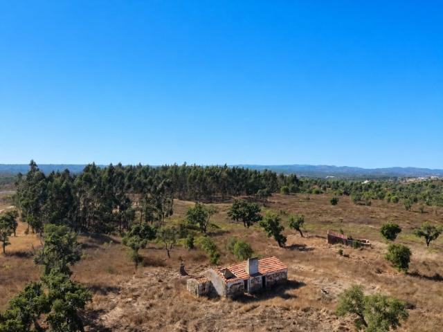 Quinta venda em Grândola, Setúbal
