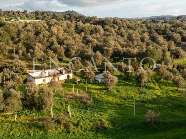 Quinta venda em Montemor-o-novo, Évora