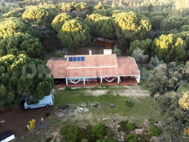 Quinta venda em Montemor-o-novo, Évora