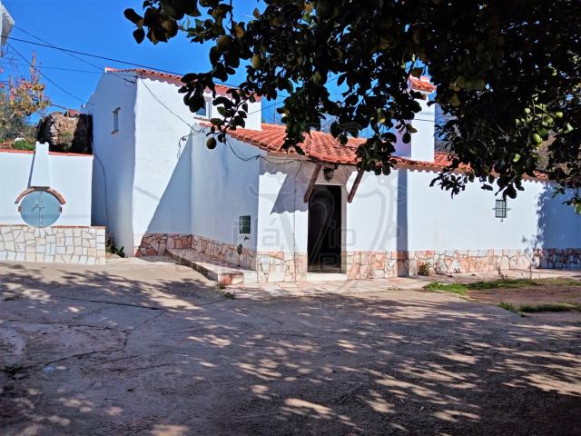 Quinta venda em Estremoz, Boavista