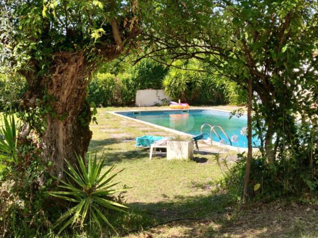Quinta venda em Montemor-o-novo, Évora