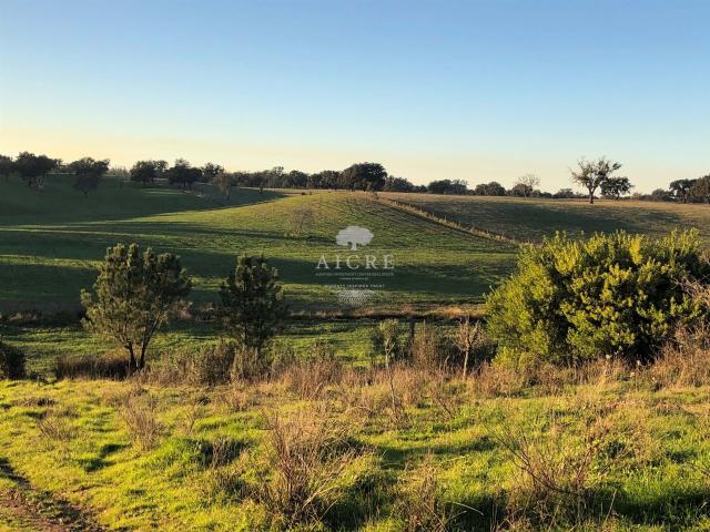 Vivenda venda em Cercal, Santiago Do Cacém