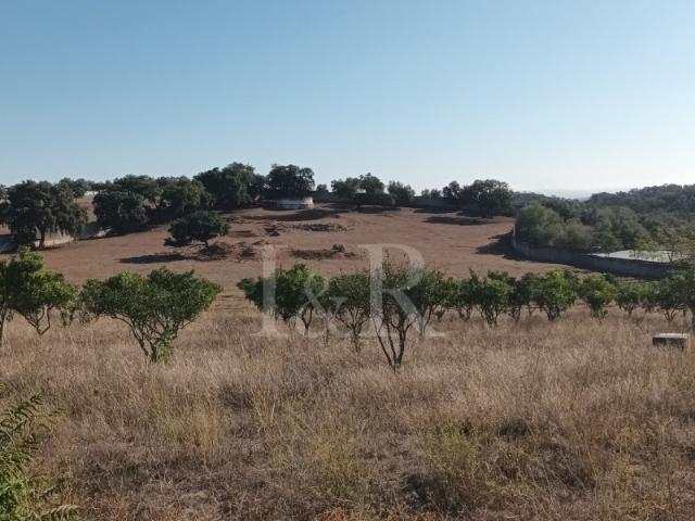 Terreno venda em Vila Viçosa, Évora