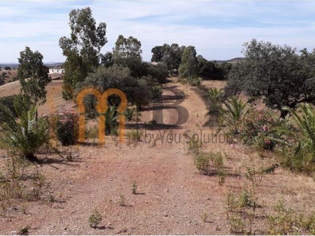 Quinta venda em Corte do Pinto, Beja