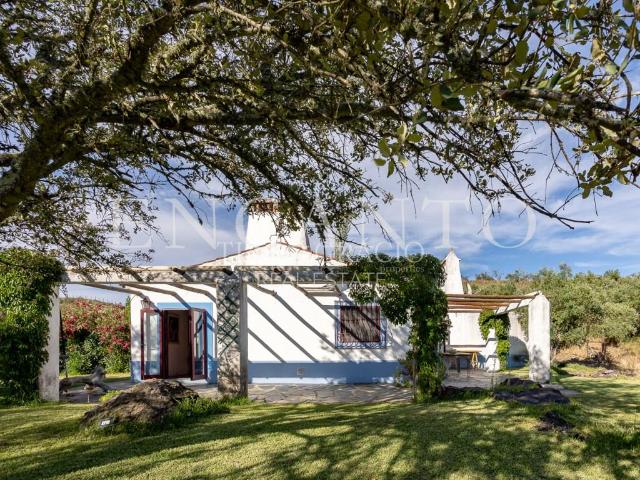 Vivenda venda em São Pedro Terena, Évora