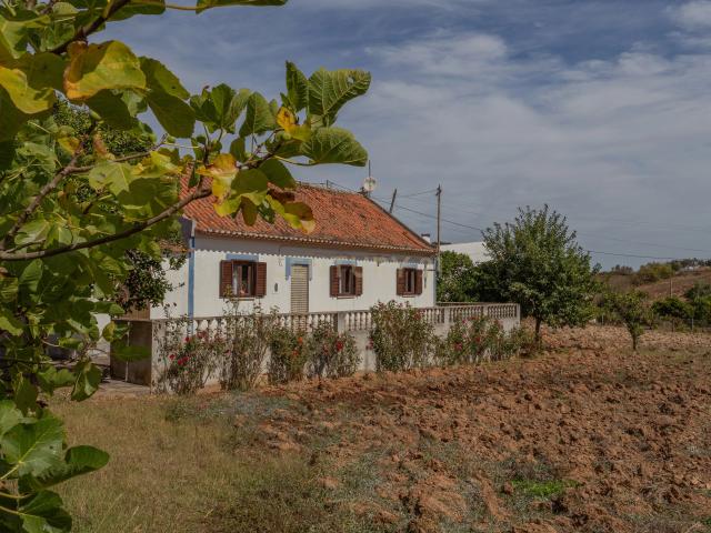 Quinta venda em Cercal, Santiago Do Cacém