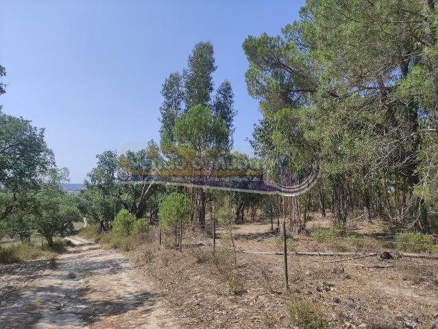 Quinta venda em Mora, Évora