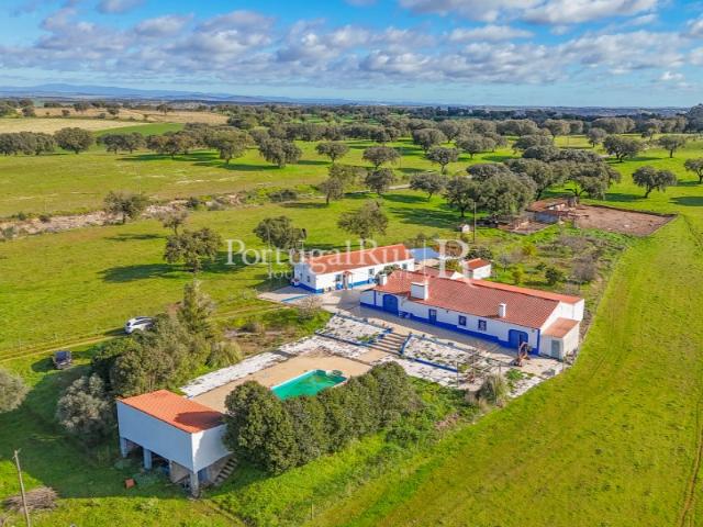 Quinta venda em Santo Amaro, Santo Amaro