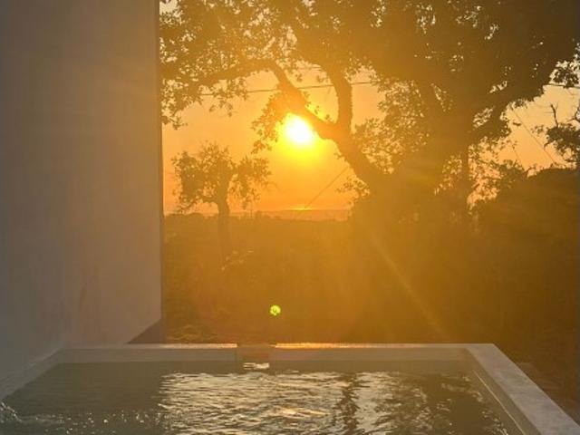 Quinta alugar em Grândola, Setúbal