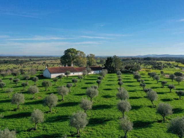Quinta venda em Aldeia das Pias, Santiago Maior