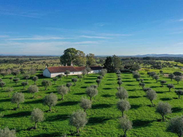 Vivenda venda em Aldeia das Pias, Santiago Maior