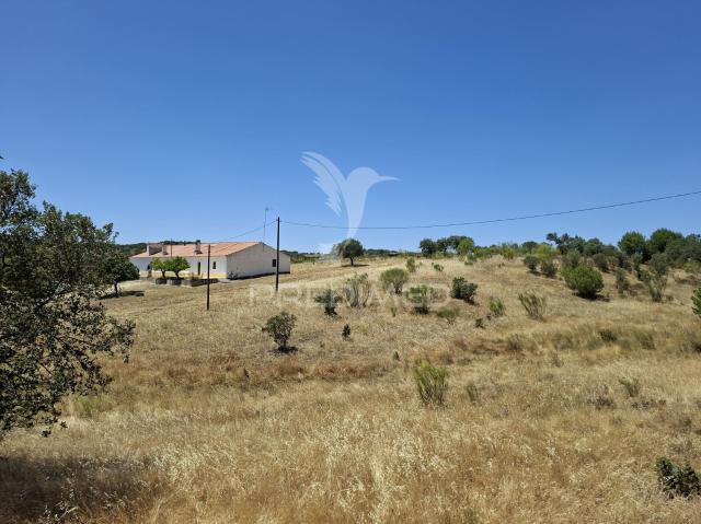 Quinta venda em Nossa Senhora Da Conceição, Évora