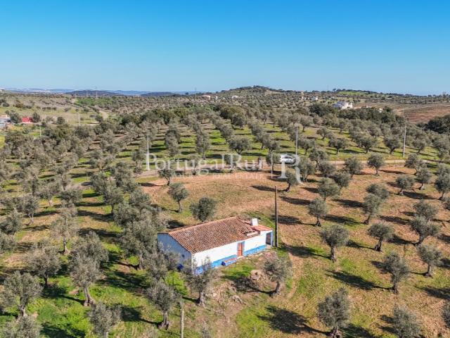 Quinta venda em Bairro António Festas, Redondo