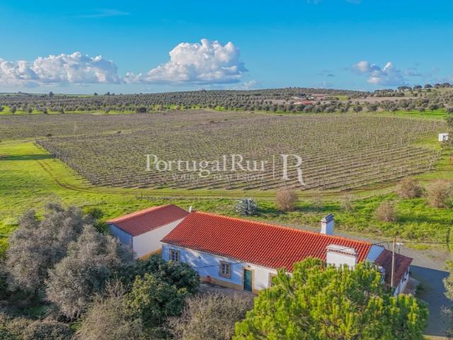 Quinta venda em Avis, Portalegre