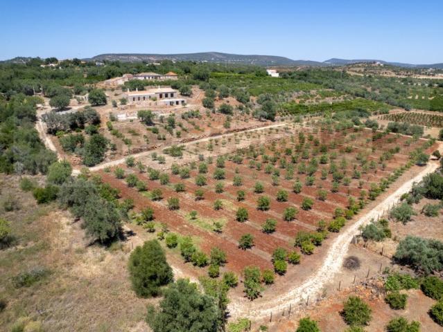 Quinta venda em São Bartolomeu De Messines, Faro