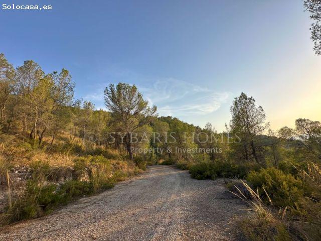 Casa en venta en el Vinalopó Mitjà / El Vinalopó Medio, Valencia