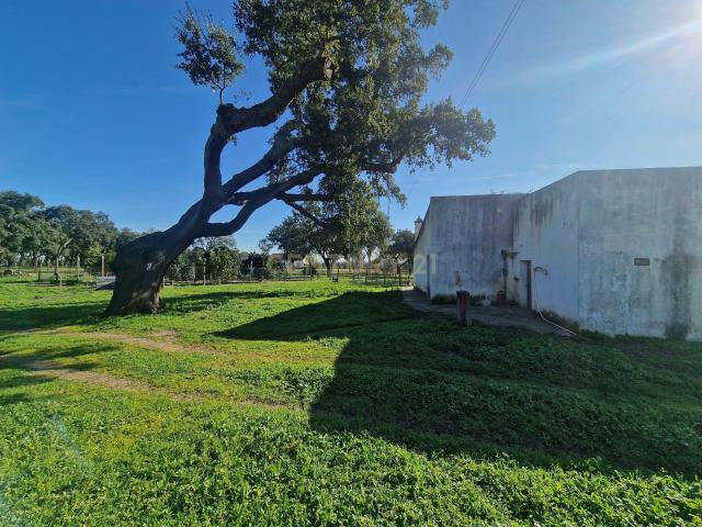 Terreno venda em Santiago Do Cacém, Setúbal
