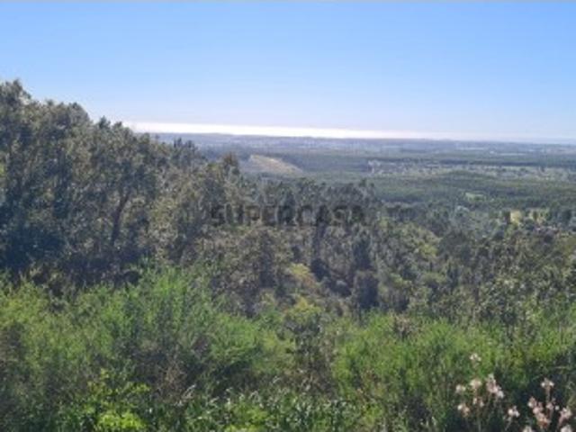 Casa venda em Odemira, Beja