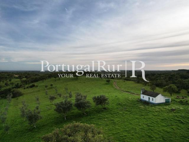 Vivenda venda em Santiago Do Cacém, Setúbal