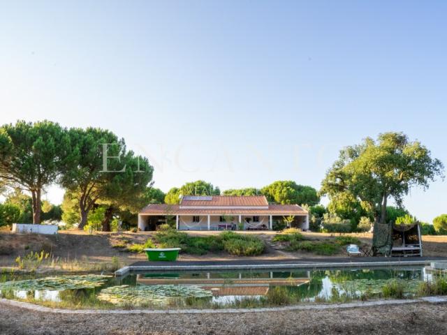 Quinta venda em Montemor-o-novo, Évora