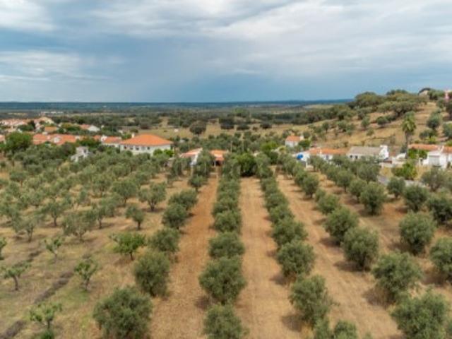 Casa venda em Avis, Portalegre