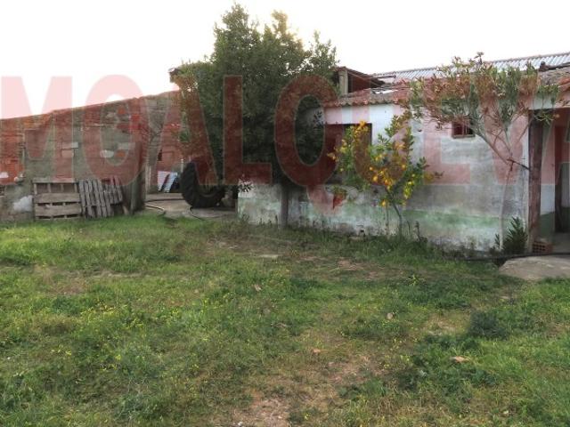 Quinta venda em São Marcos do Campo, Reguengos De Monsaraz