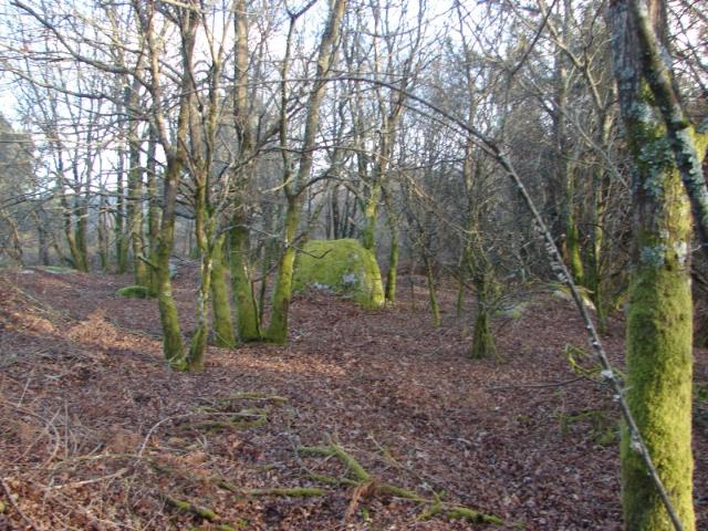 Terreno venda em Castanheira, Viana Do Castelo