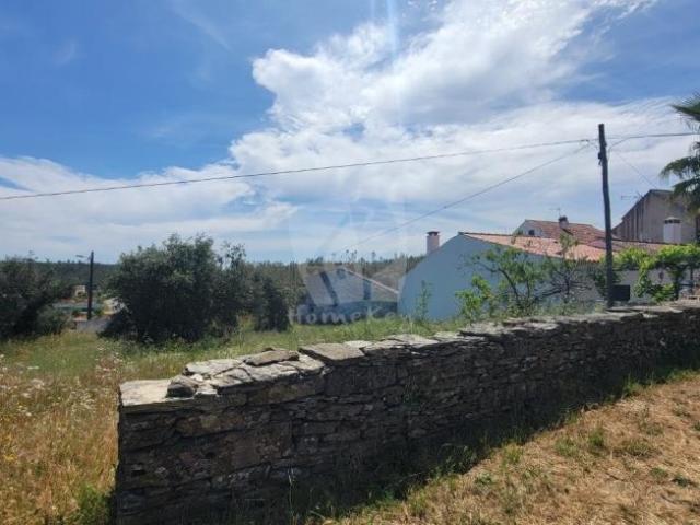 Terreno venda em Castelo Branco