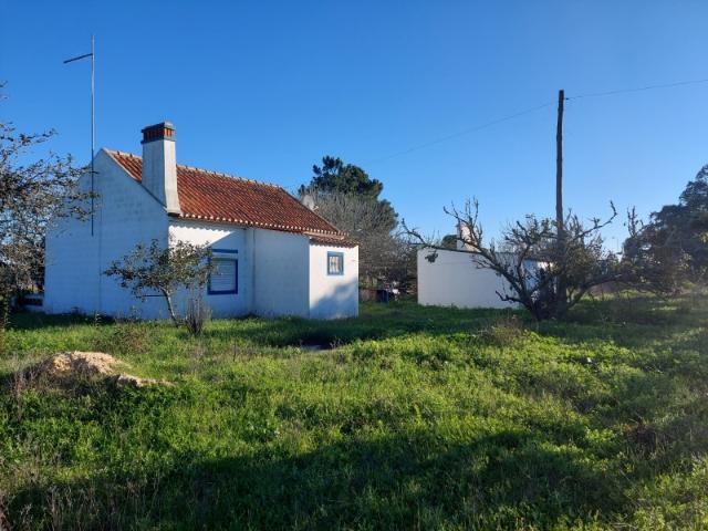 Terreno venda em Santiago Do Cacém, Setúbal