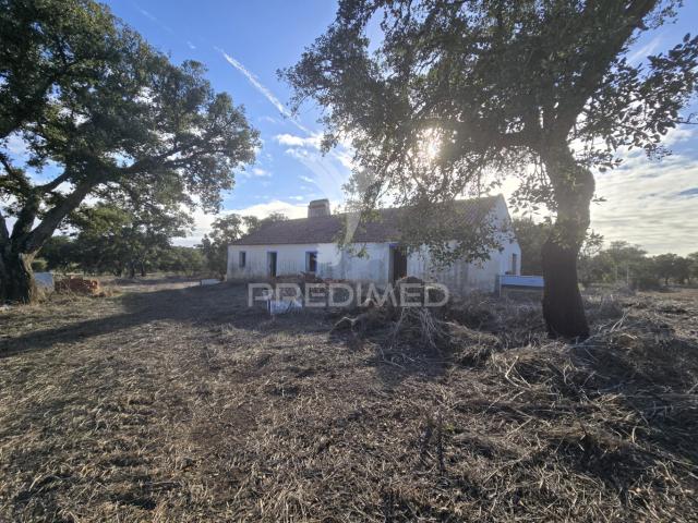 Quinta venda em Santiago Do Cacém, Setúbal