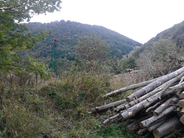 Terreno in vendita a Posina, Veneto