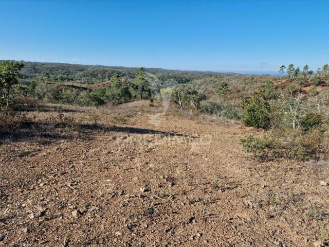 Terreno venda em Santiago Do Cacém, Setúbal