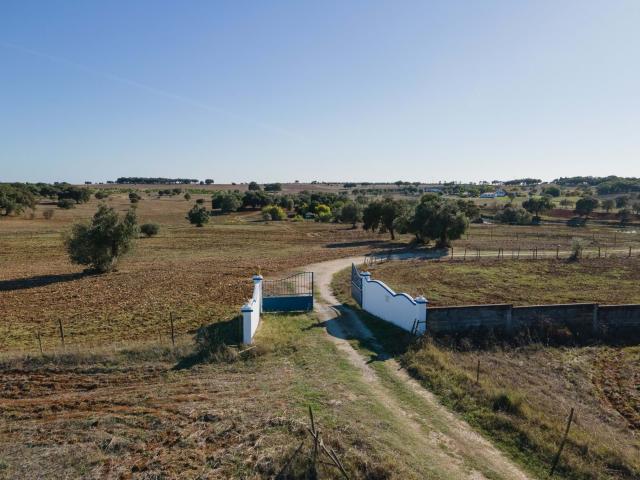 Quinta venda em Montemor-o-novo, Évora