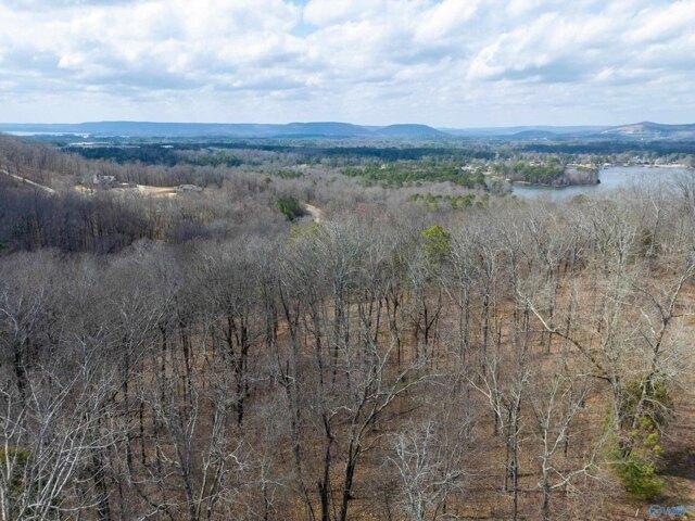 Land for sale in Scottsboro