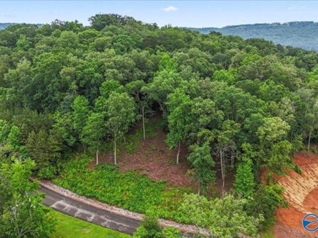 Land for sale in Scottsboro