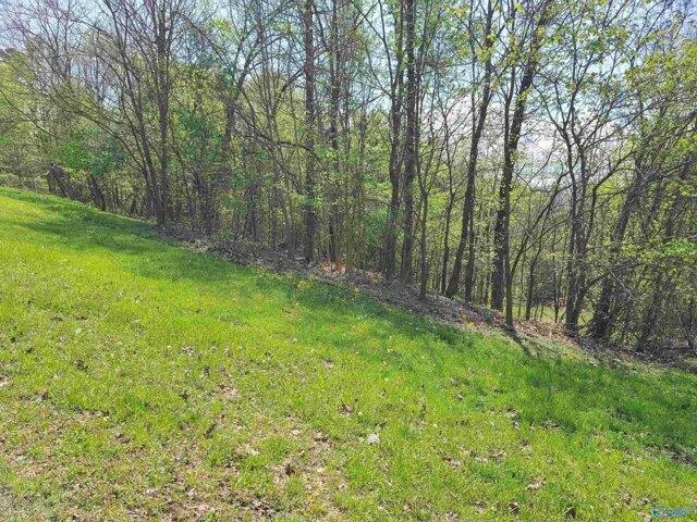 Land for sale in Scottsboro