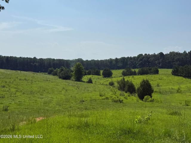 Land for sale in Eupora, Mississippi