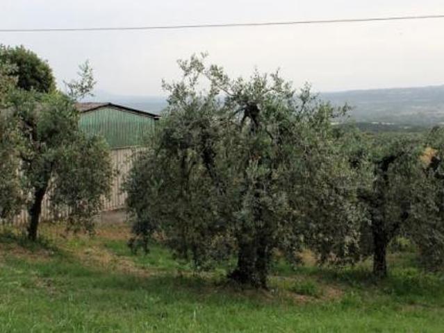 Terreno in vendita a Montecchio, Umbria