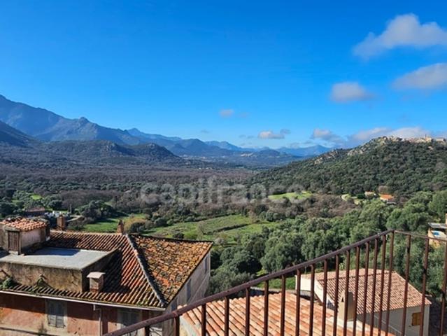 Maison vente à Calvi, Montegrosso