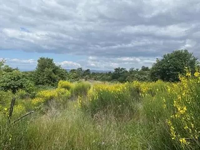 Terrain vente à Valence, Montéléger