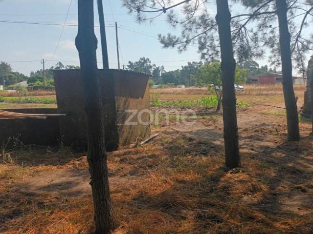 Terreno venda em Montemor-o-Velho e Gatões, Montemor-o-velho