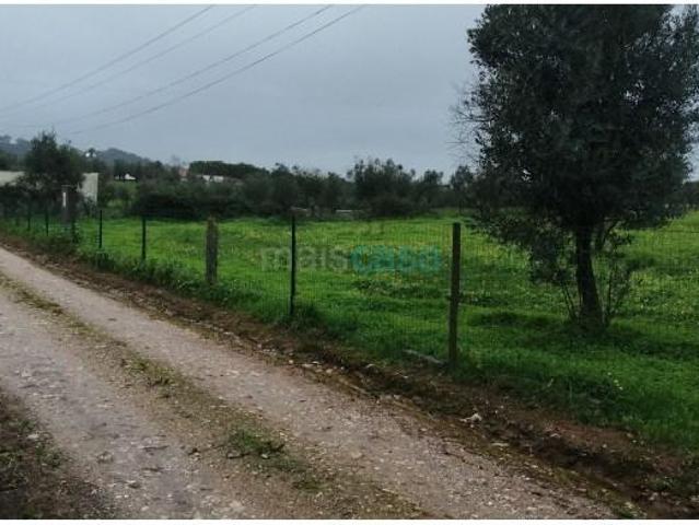 Terreno venda em Montemor-o-Velho e Gatões, Montemor-o-velho